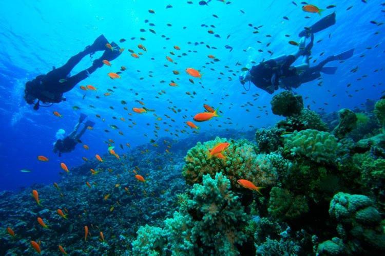 Carlo Home Las Palmas de Gran Canaria Ngoại thất bức ảnh